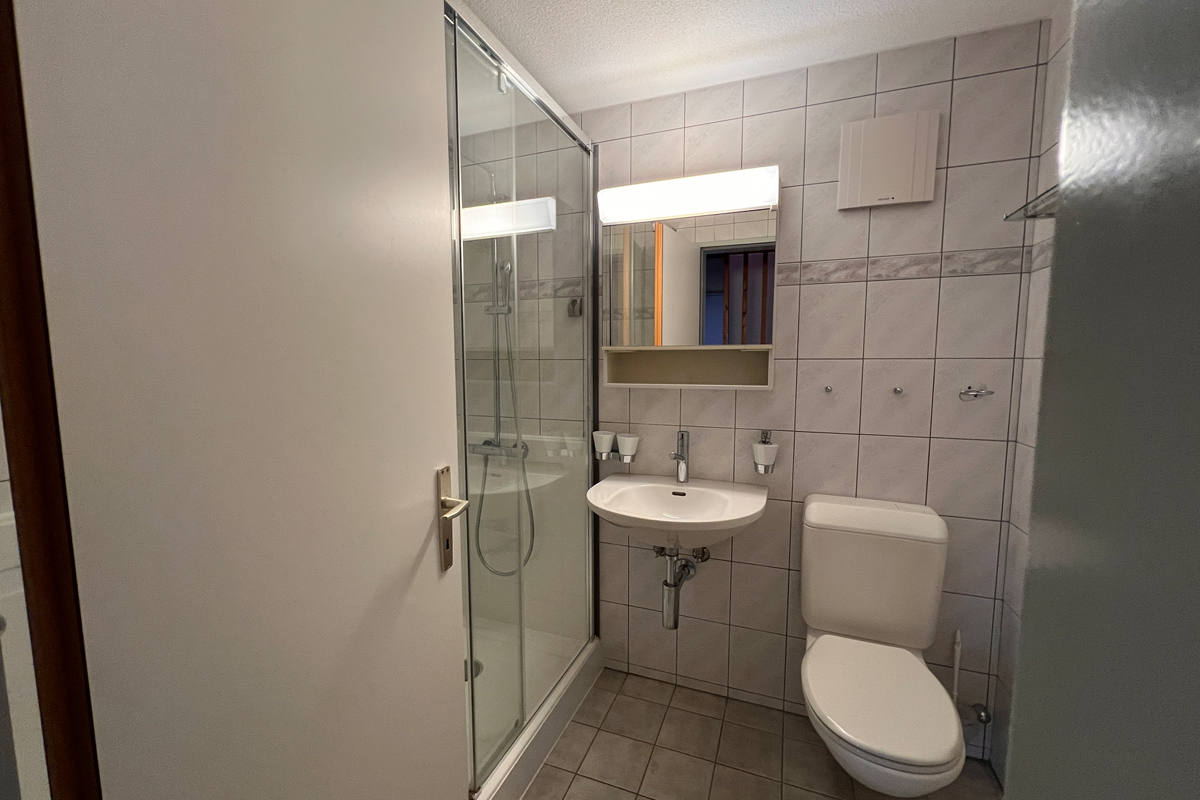 Kleines Badezimmer mit Dusche, Waschbecken und WC