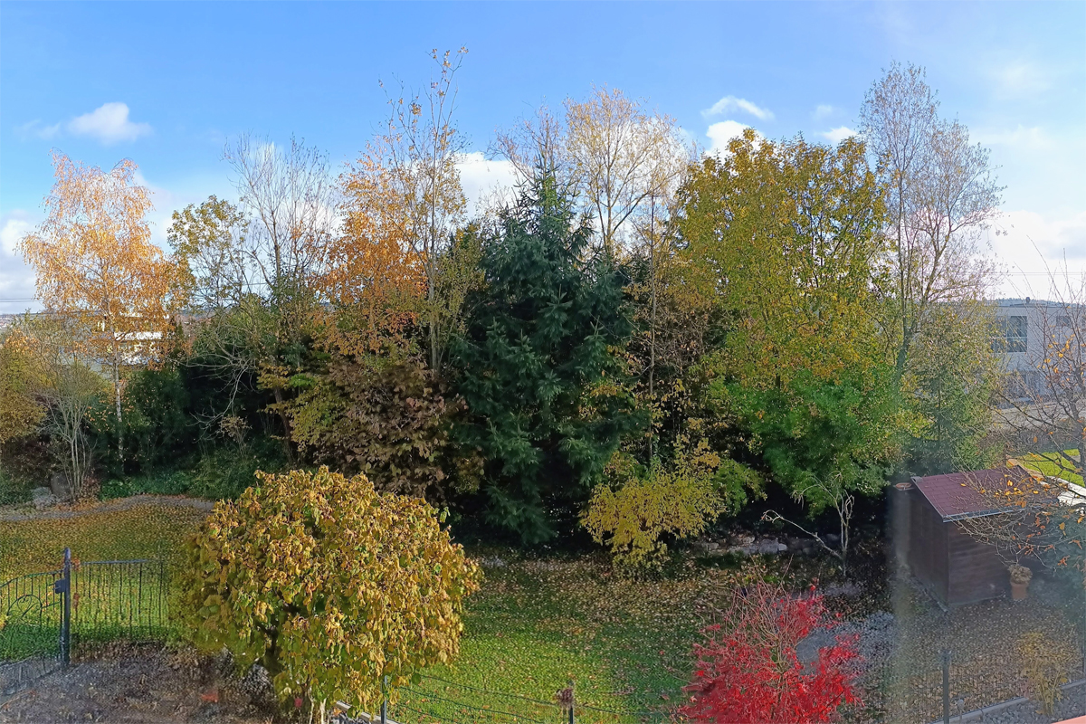 Gartenblick mit herbstlichen Bäumen