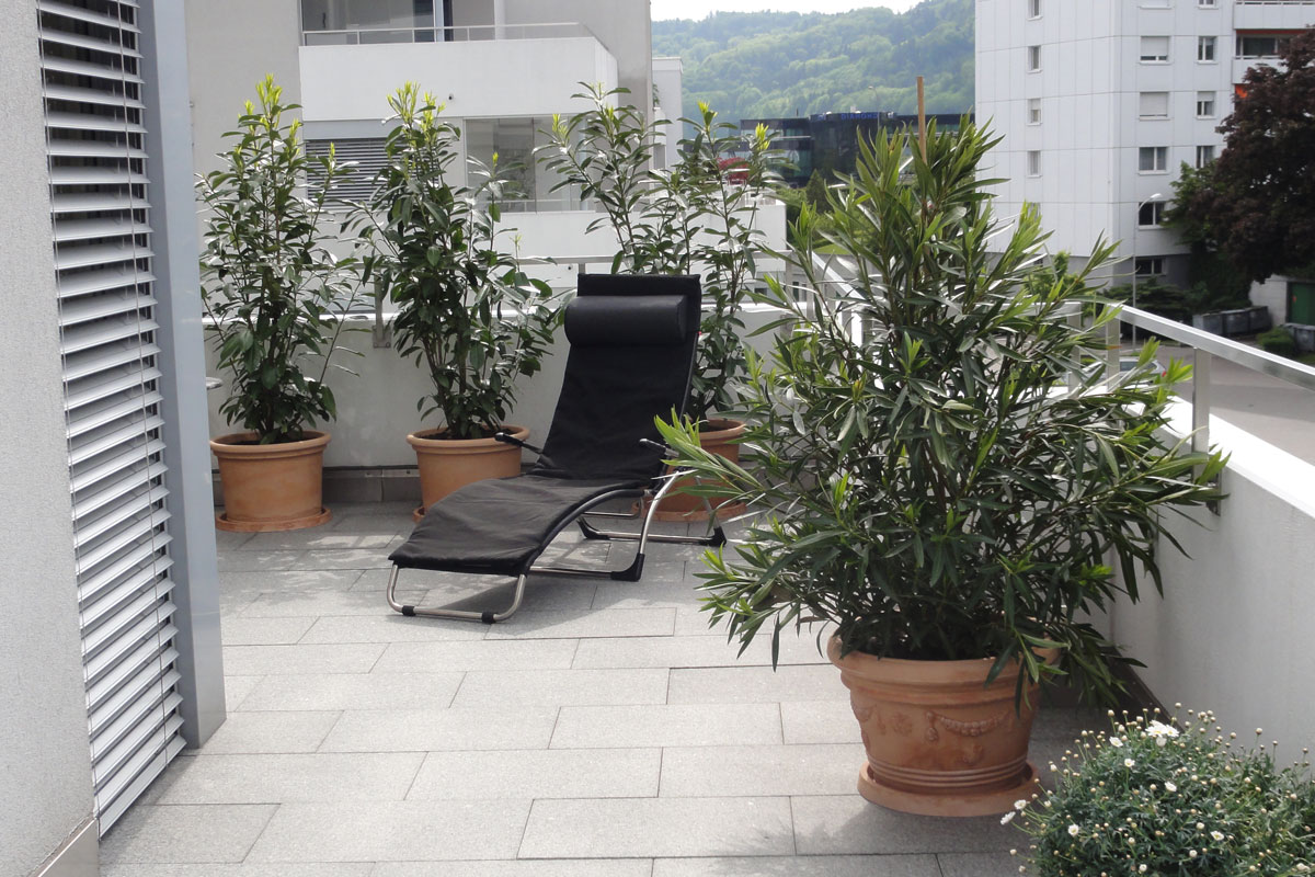 Terrasse mit Pflanzen und Liegestuhl