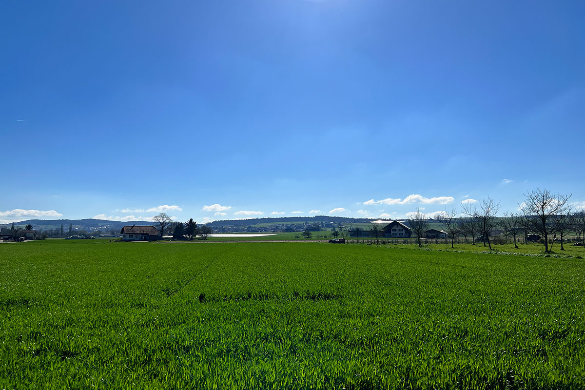 Landschaft mit grüner Wiese und Himmel