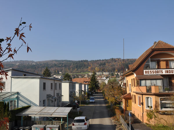 Wohnstraße mit Häusern und Bergblick