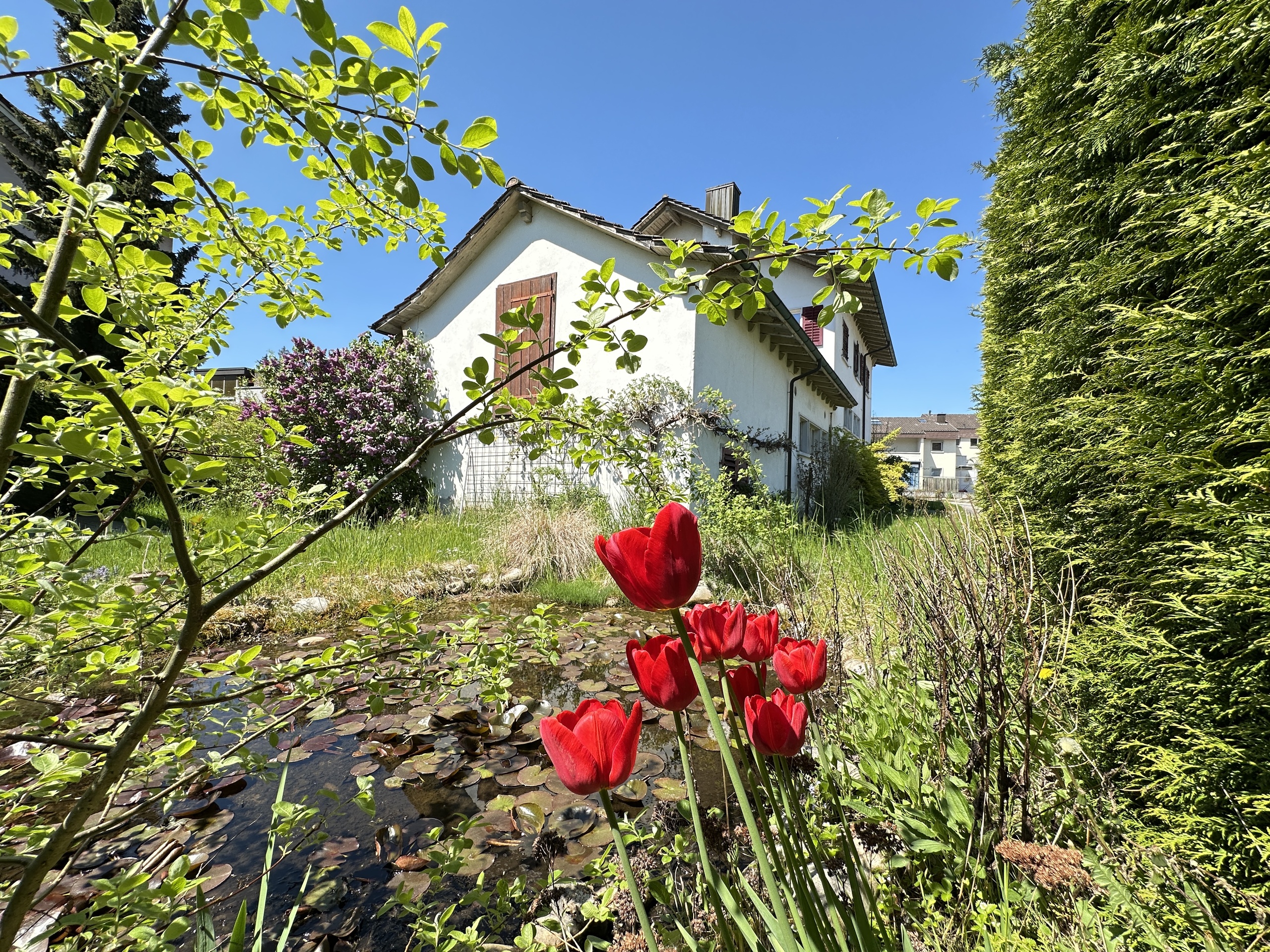 Gartenansicht mit Haus und Teich