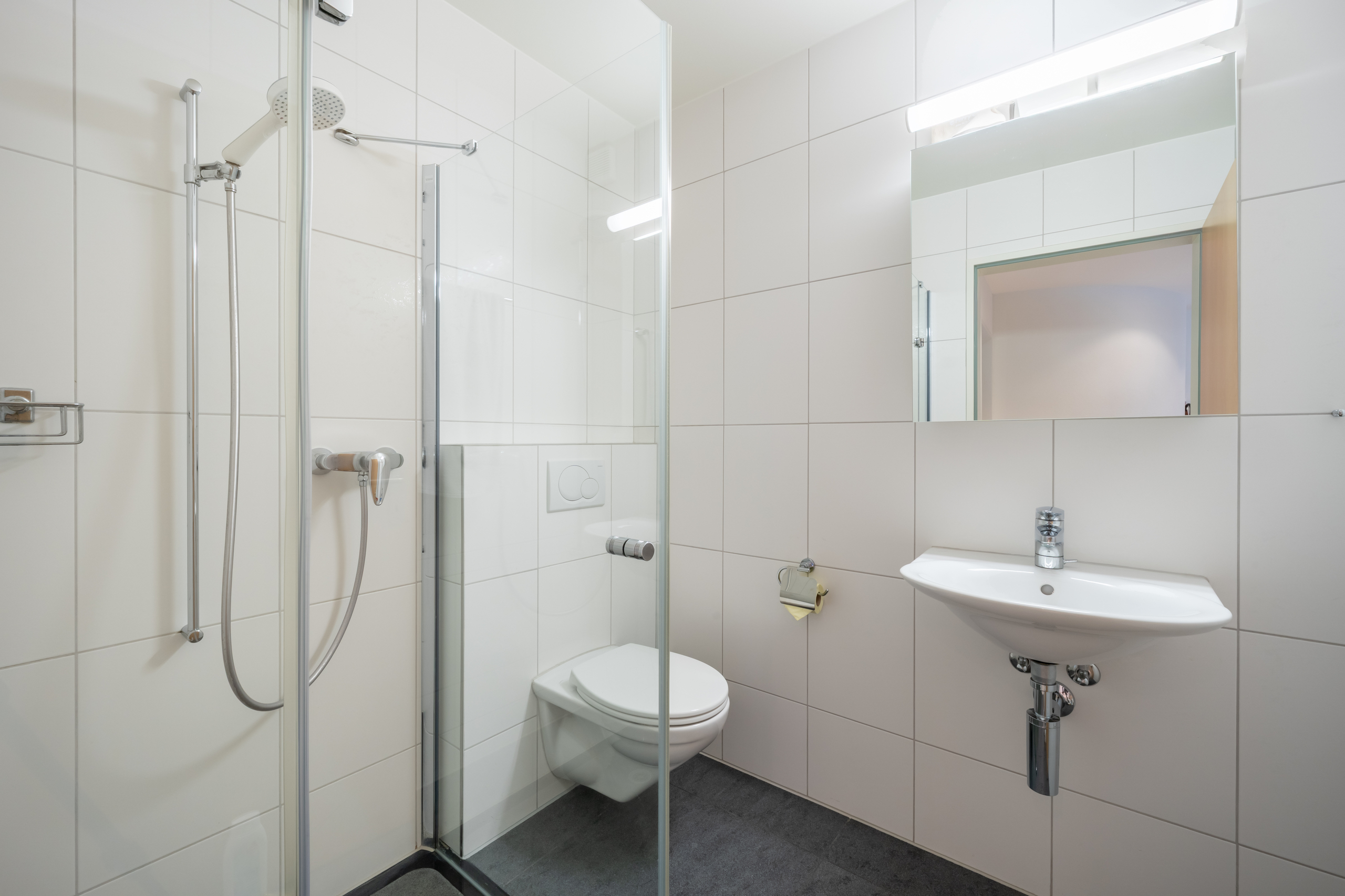 Modernes kleines Badezimmer mit Dusche und WC