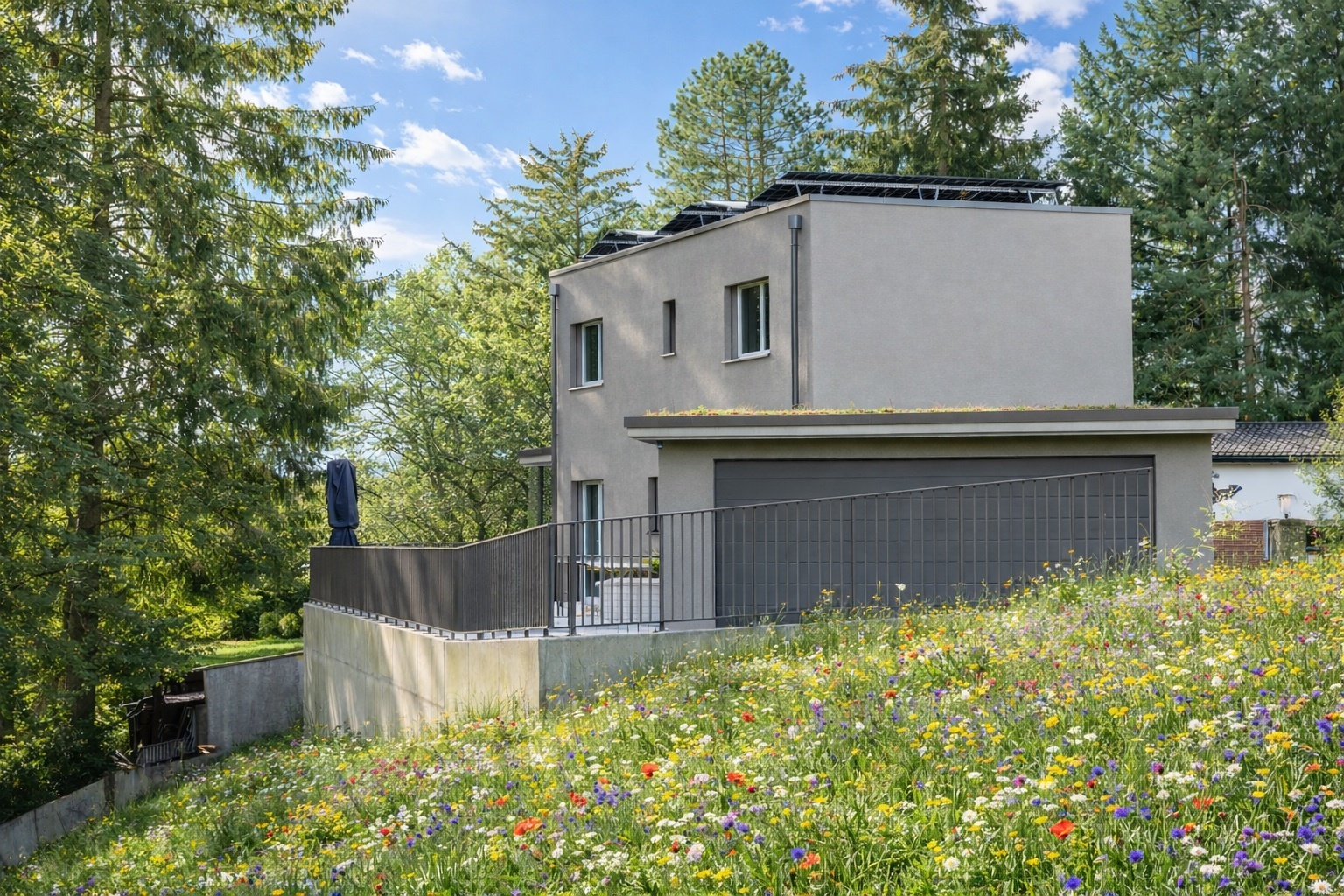 Modernes Einfamilienhaus im Grünen