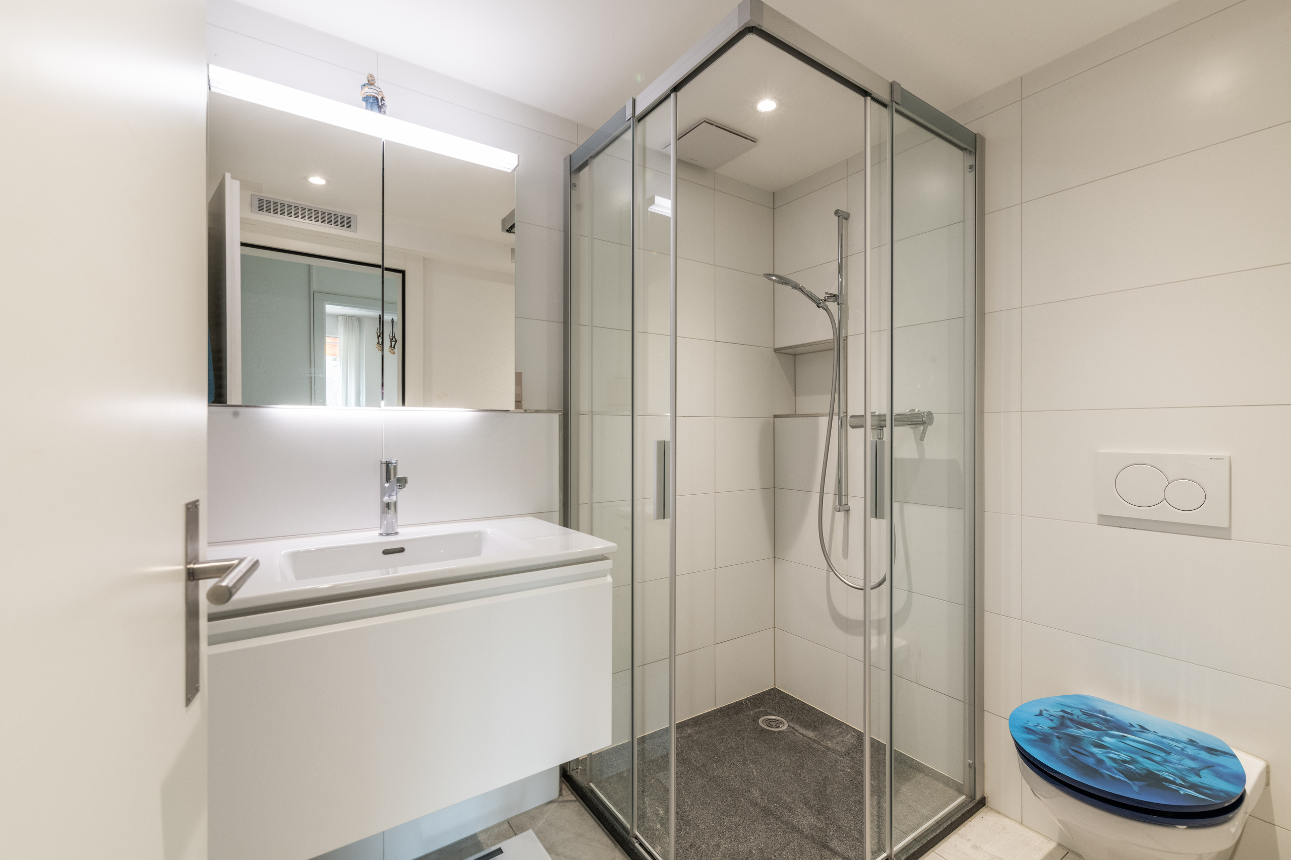 Modernes Badezimmer mit Dusche und Waschtisch