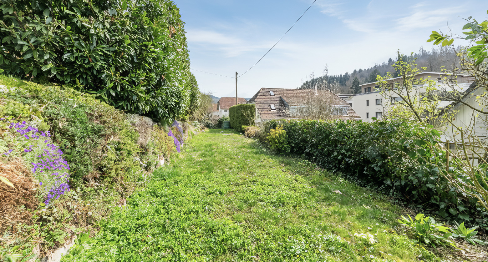 Gepflegter Garten mit Rasen und Bepflanzung