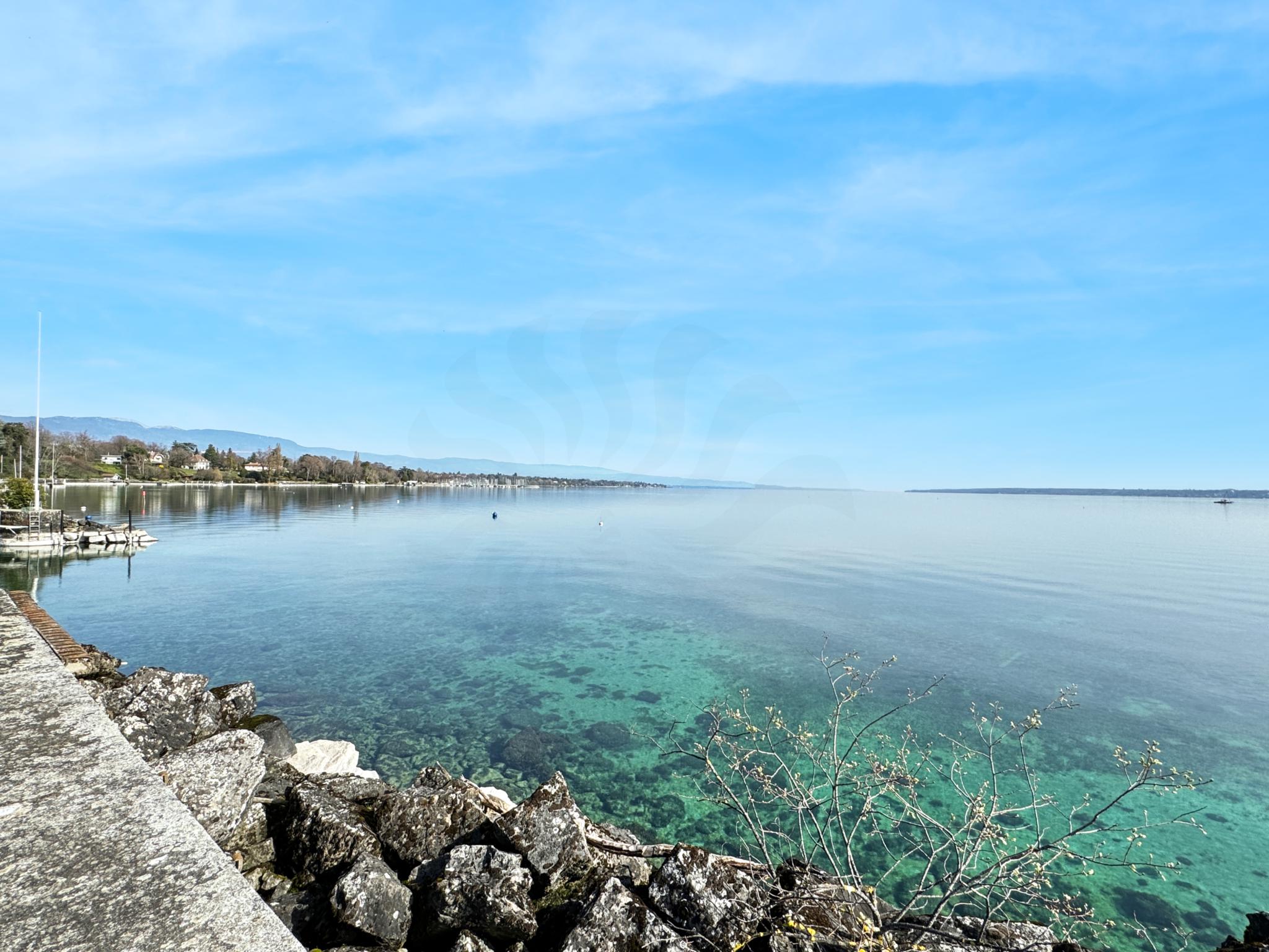 Uferblick über einen ruhigen See