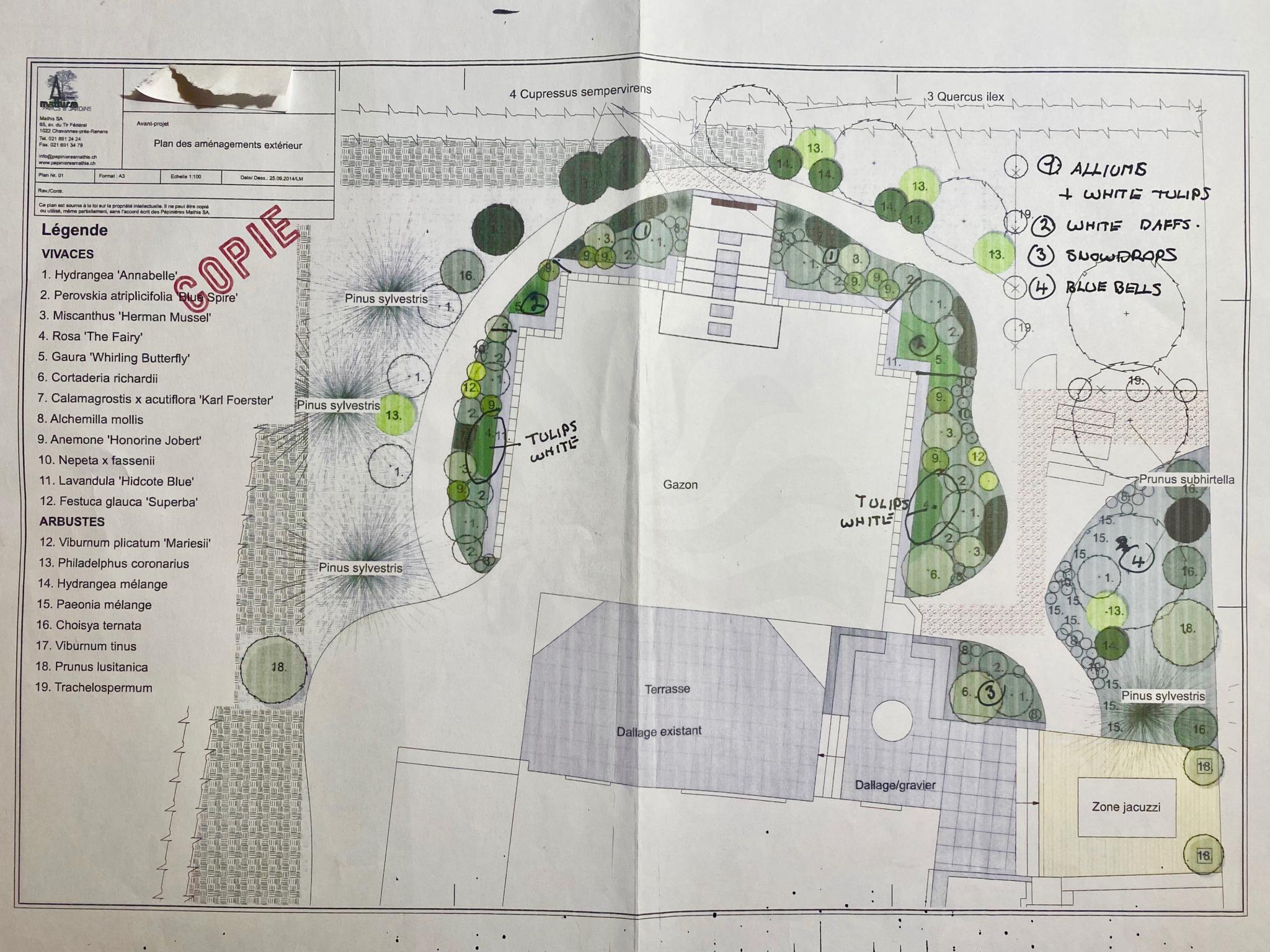 Außenanlagen-Plan mit Garten, Terrasse und Jacuzzi-Zone