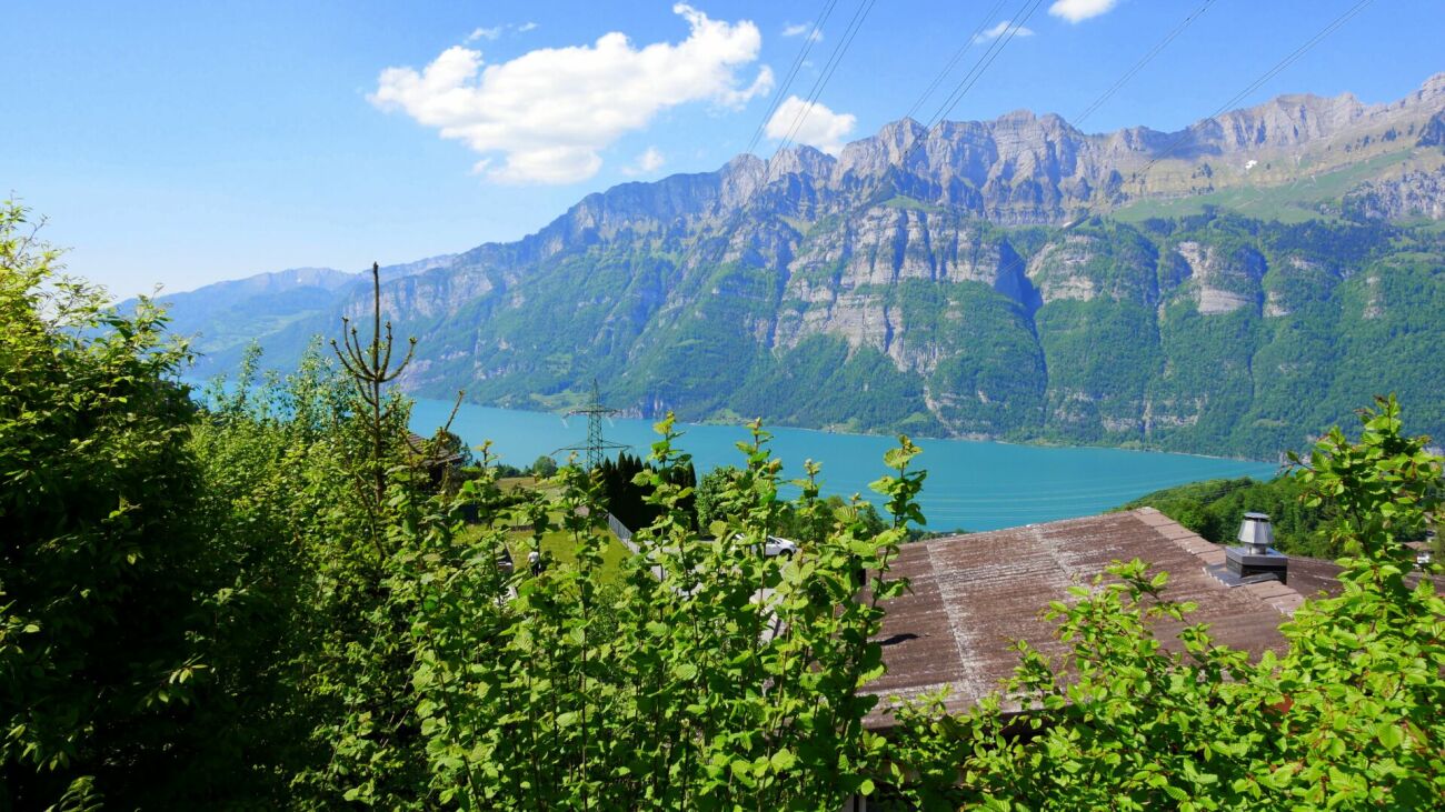 Seeblick mit Bergen und Garten