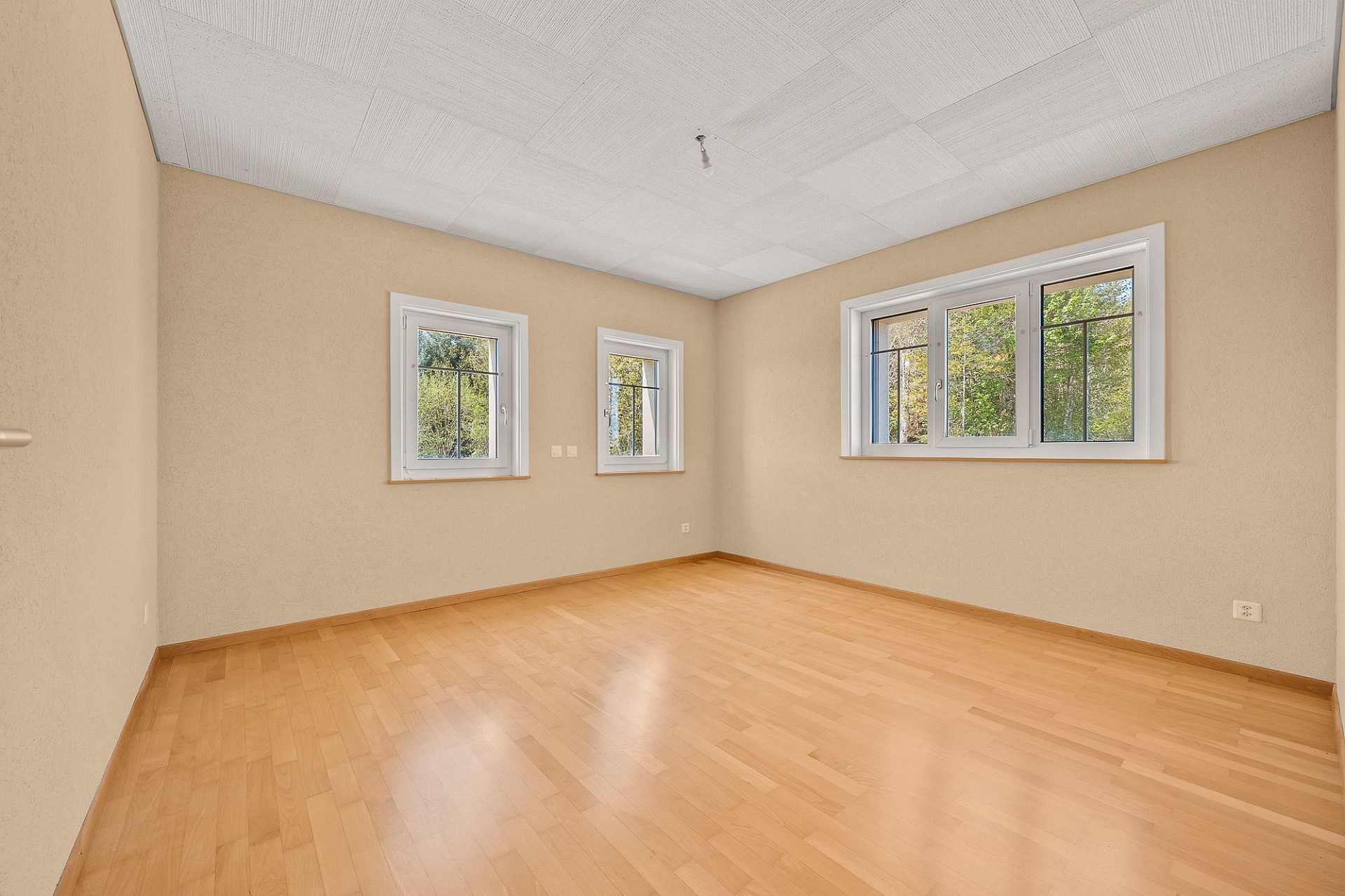 Leerer, heller Raum mit Parkett und mehreren Fenstern