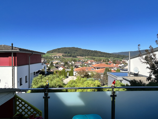 Balkon mit weitem Ausblick über Wohngebiet und Hügel