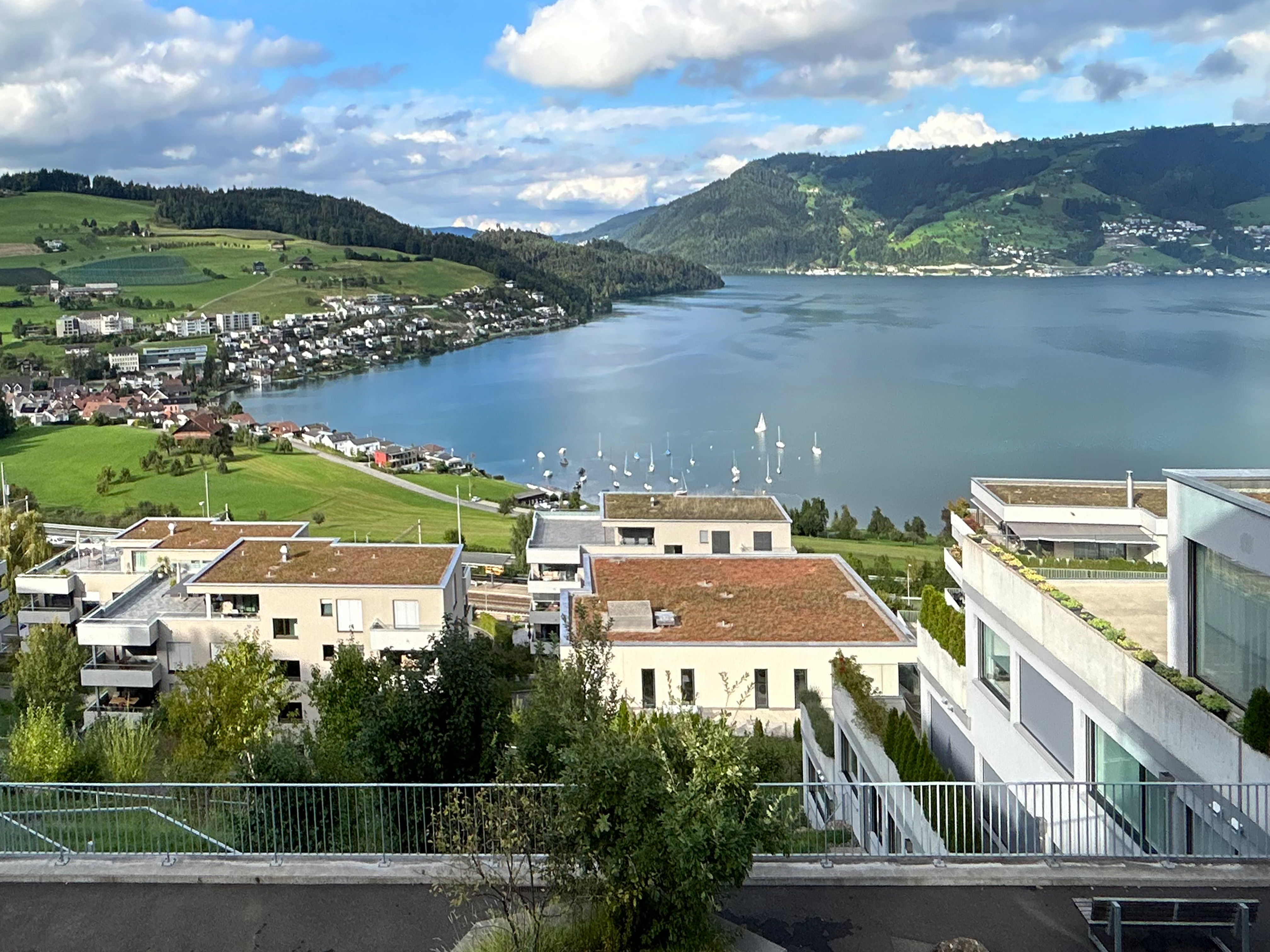 Panoramablick über einen See mit Wohnbebauung am Hang