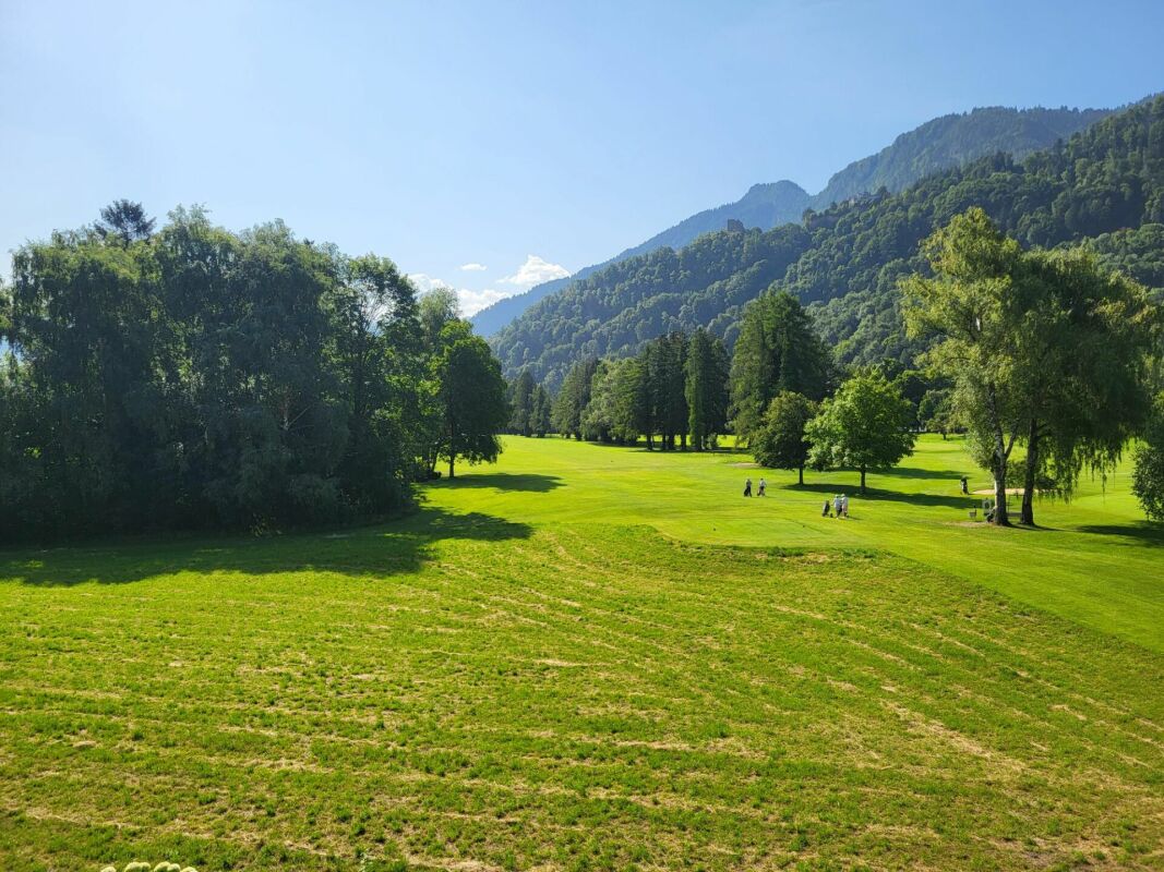 Grüne Landschaft mit Bergkulisse