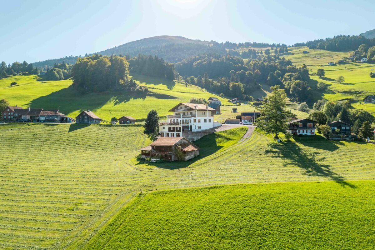 Ländliche Alpenlandschaft mit verstreuten Gebäuden