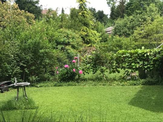 Grüner Garten mit Blumen