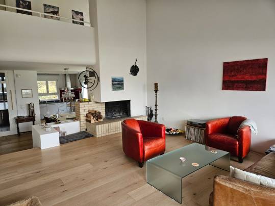 Wohnzimmer mit Kamin und roten Sesseln