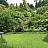 Garten mit Rasen und Bäumen