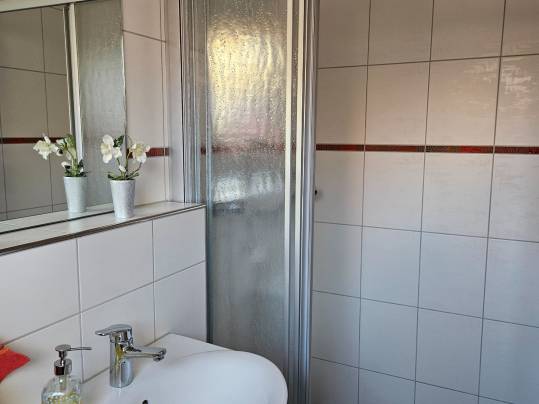 Badezimmerdetail mit Dusche und Waschbecken