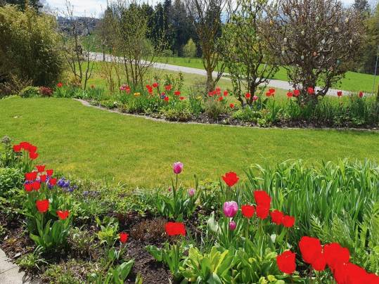 Blühender Garten mit Rasenfläche