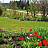 Garten mit Blumenbeet