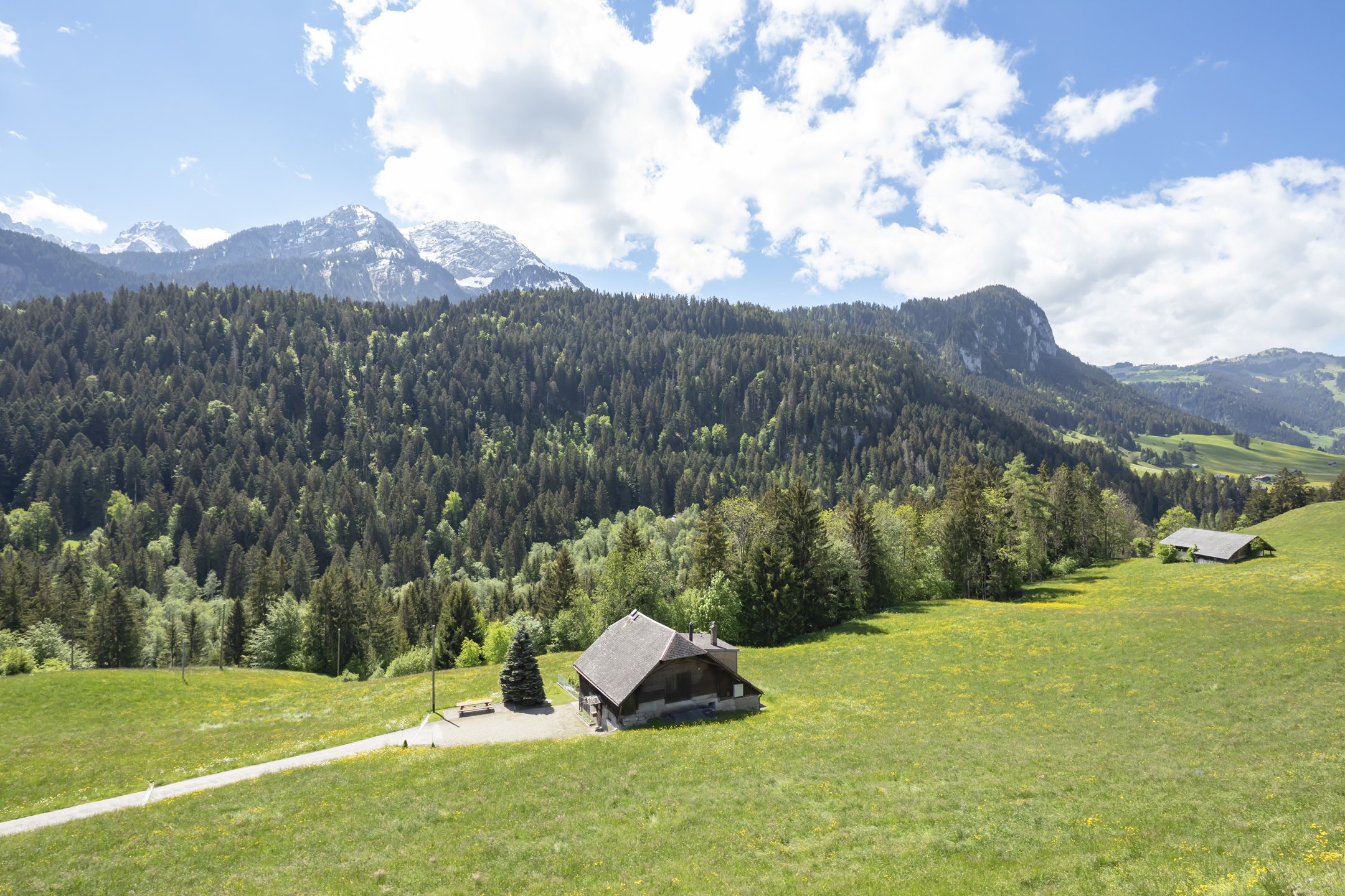 Alpines Bergpanorama mit Wiese und Hütte