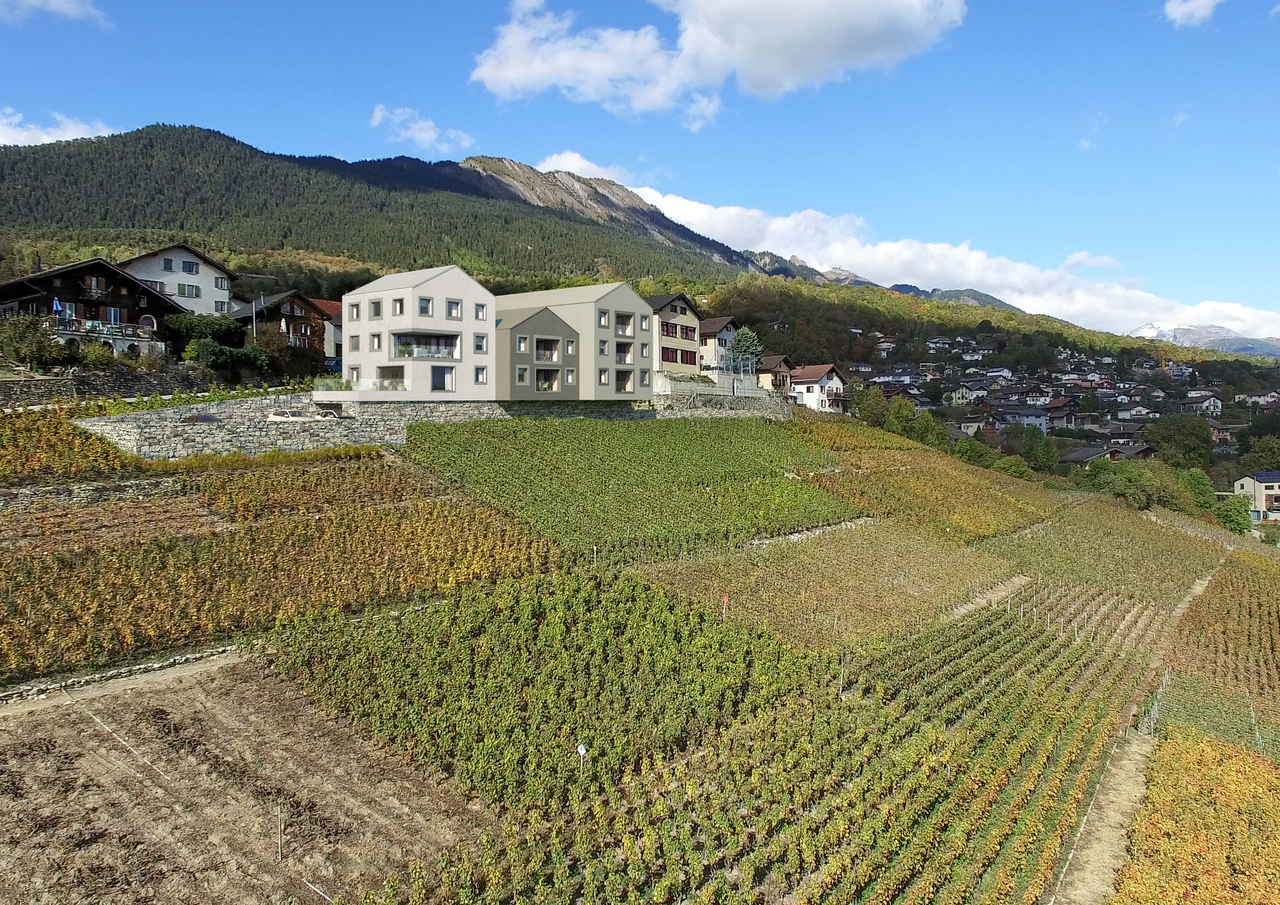 Landschaft mit Neubau an Weinbergen