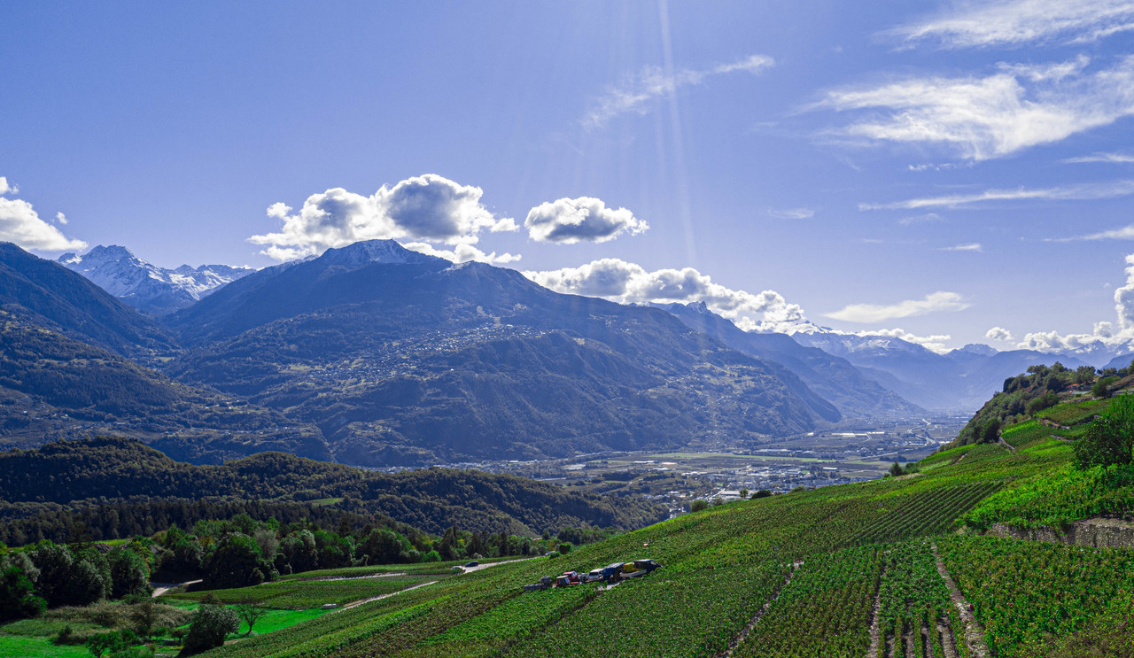 Berglandschaft mit Tal und Weinbergen