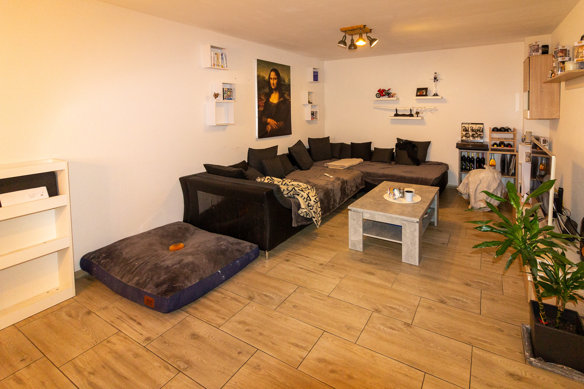 Gemütlich eingerichtetes Wohnzimmer