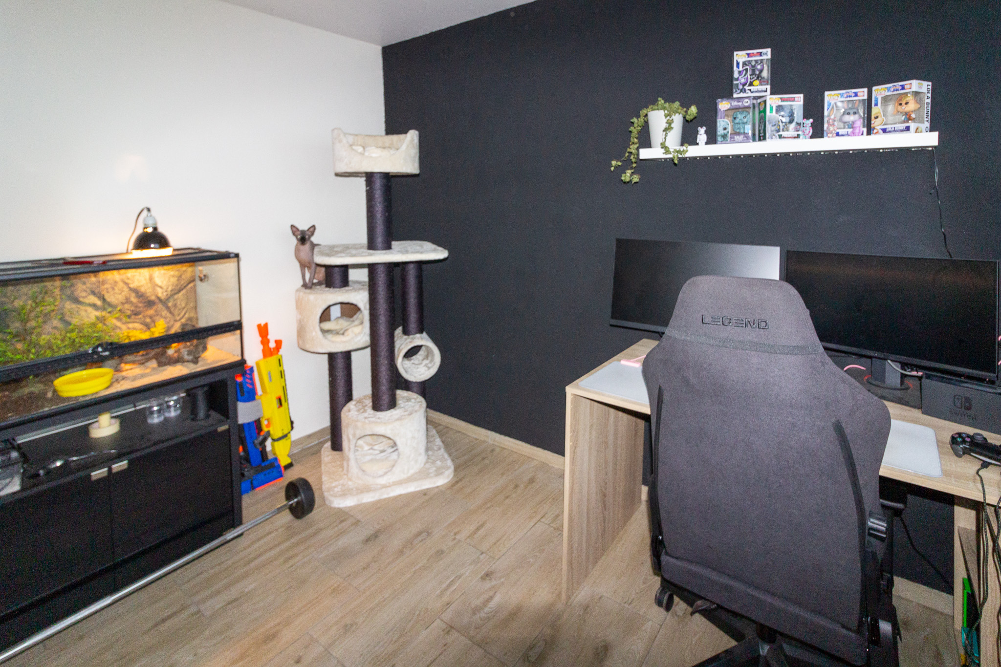 Gaming- und Arbeitszimmer mit Katzenbaum