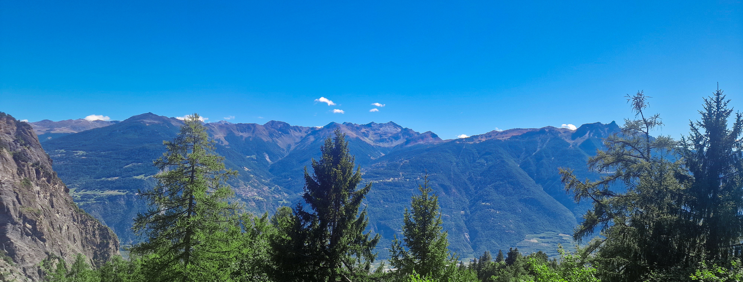 Bergpanorama mit Nadelbäumen