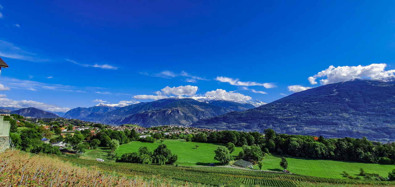 Alpenpanorama mit Tal und Wiesen