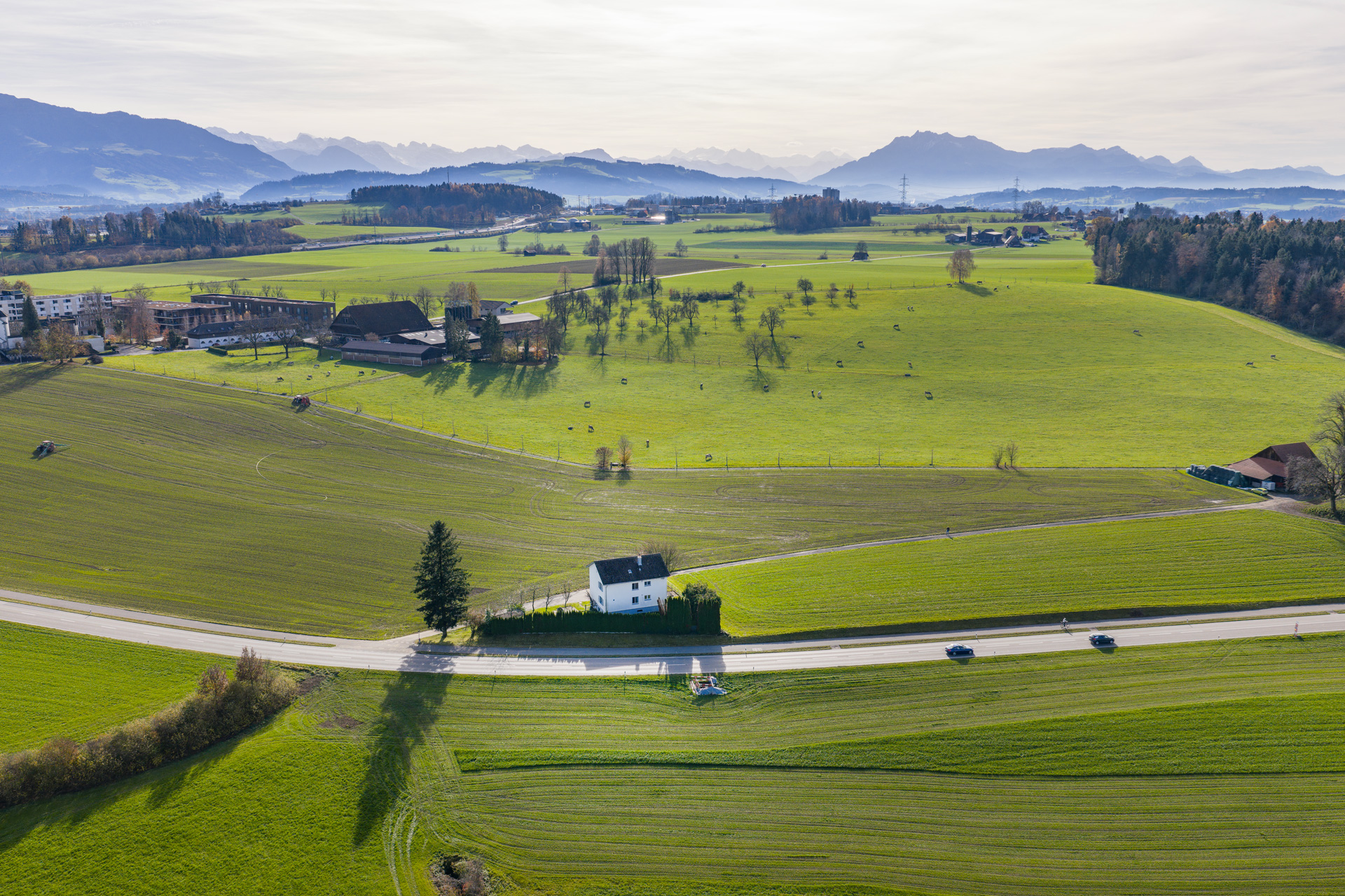 Luftaufnahme einer grünen Alplandschaft