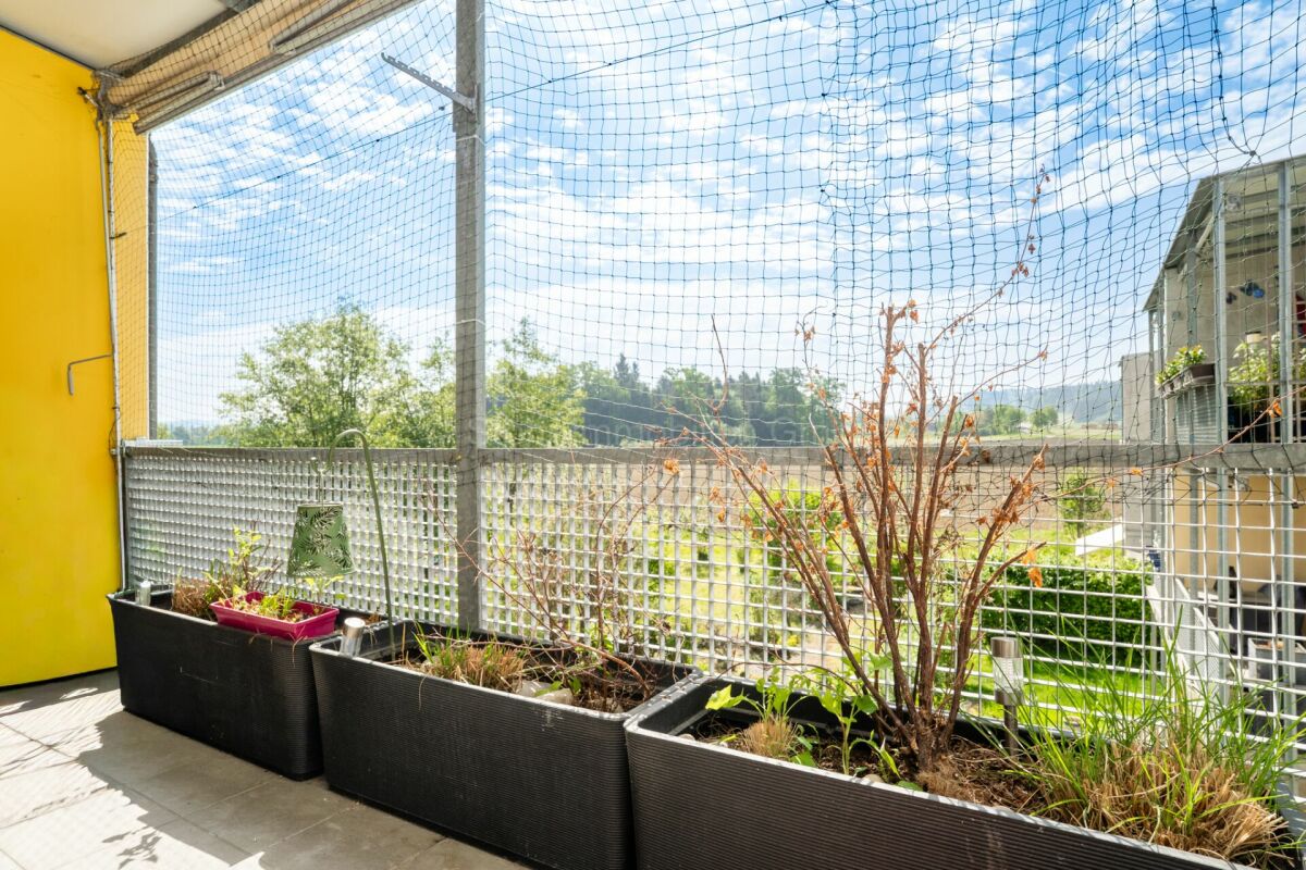 Balkon mit Pflanzenkübeln und Netzüberspannung