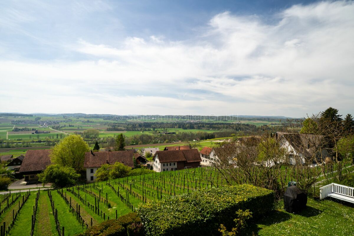 Ländliche Aussicht mit Weinberg und weitem Landschaftspanorama