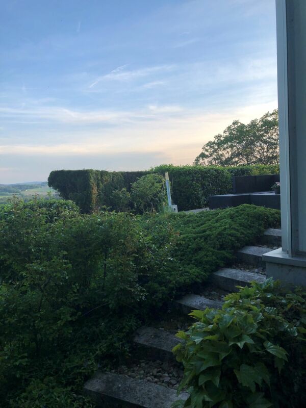 Gartenblick mit Terrasse bei Abendlicht