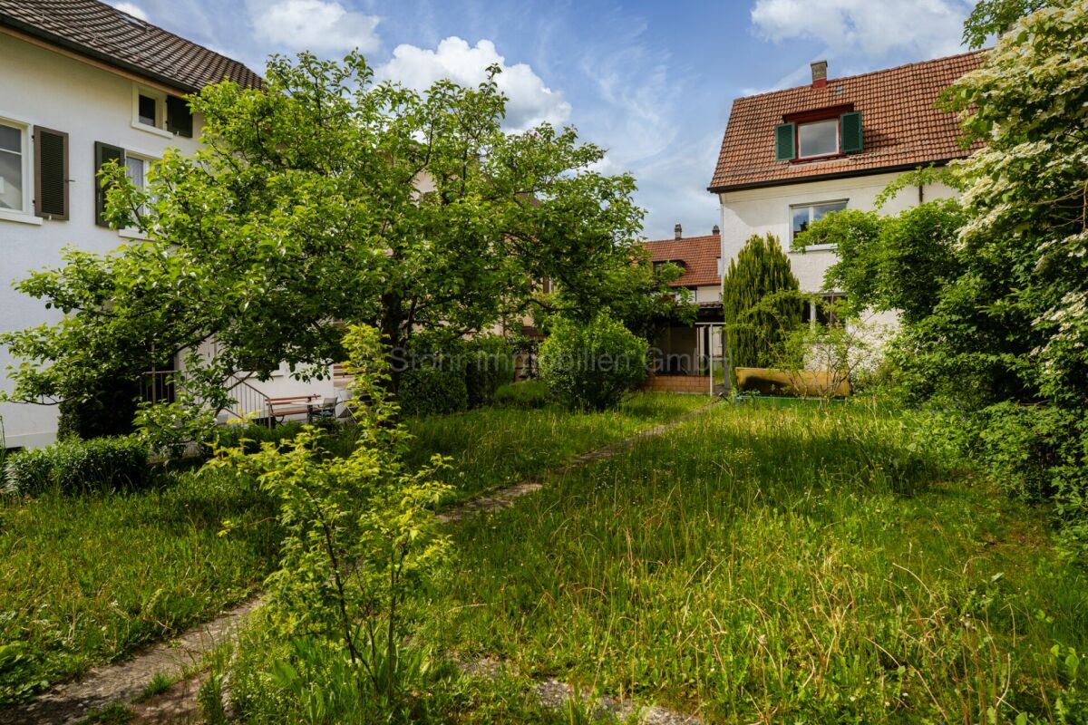 Verwilderter Garten zwischen Wohnhäusern