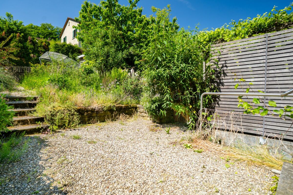 Bewachsener Garten mit Kiesfläche