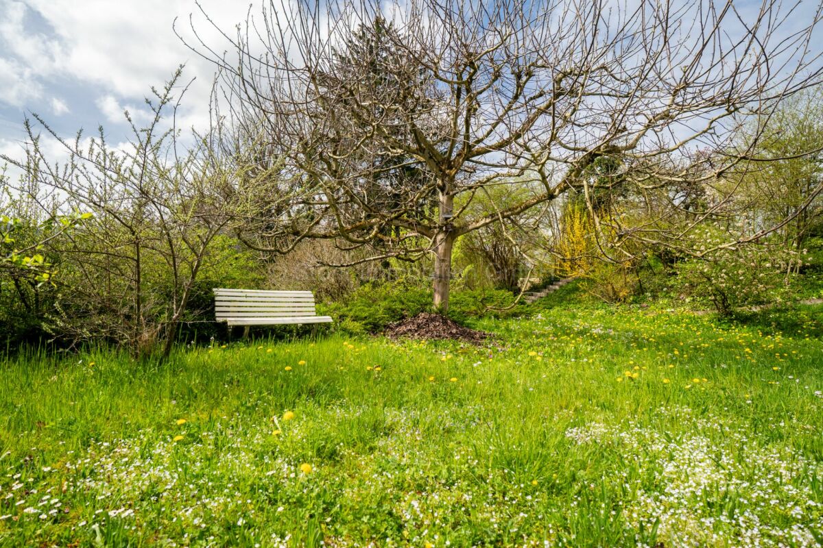 Garten mit Bank unter einem Baum