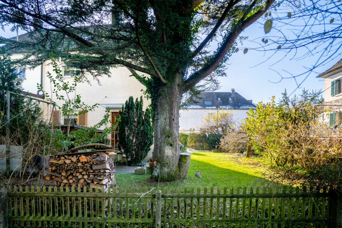 Garten mit großem Baum