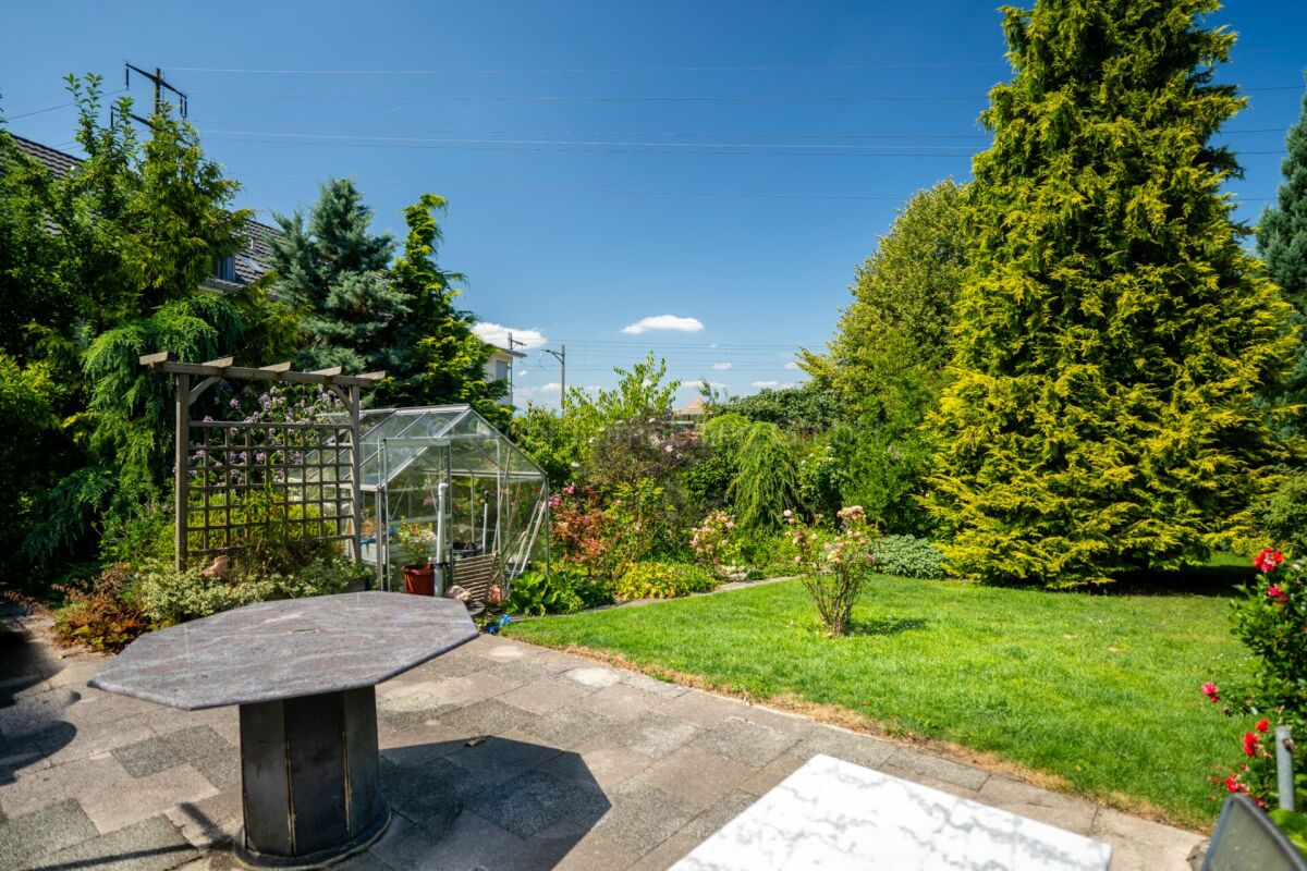 Garten mit Terrasse und Gewächshaus
