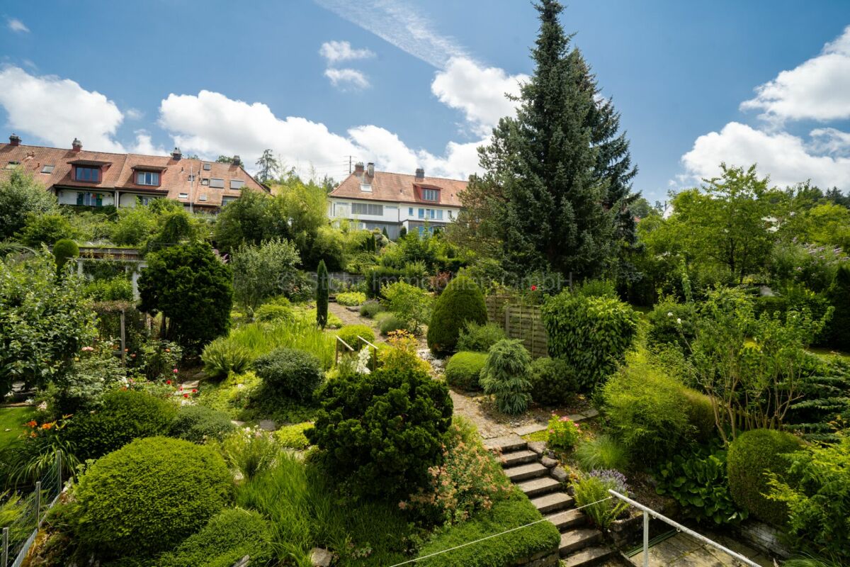 Großer grüner Garten mit Wohnhäusern im Hintergrund