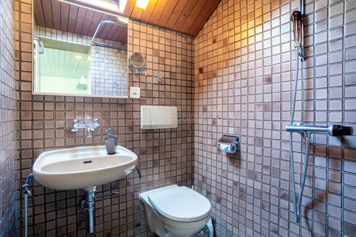 Kleines Badezimmer mit Dusche, Waschbecken und WC