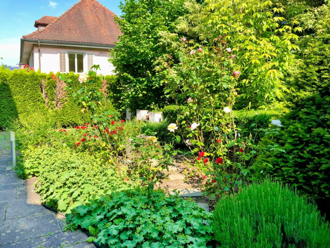 Gartenansicht eines Hauses mit üppiger Bepflanzung