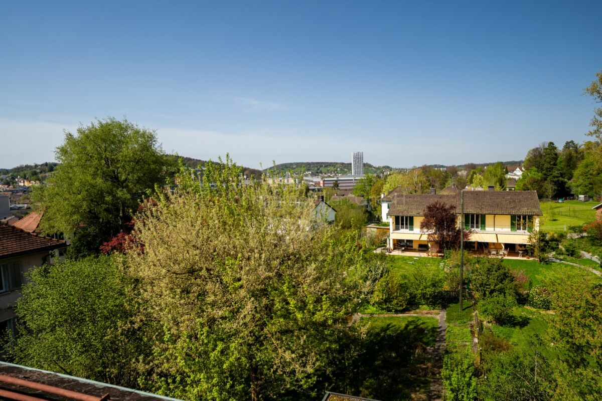 Blick über ein grünes Wohngebiet