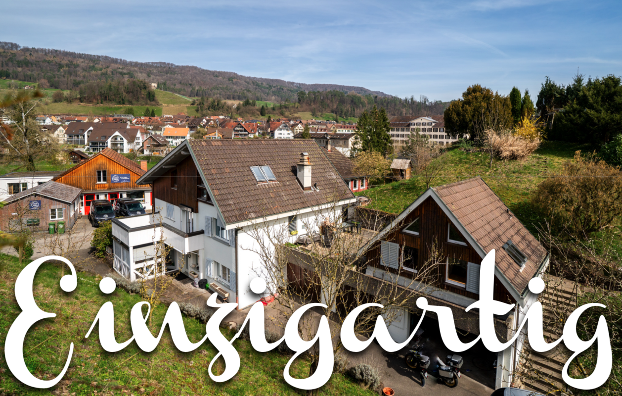 Wohnsiedlung in Hanglage mit Einfamilienhäusern