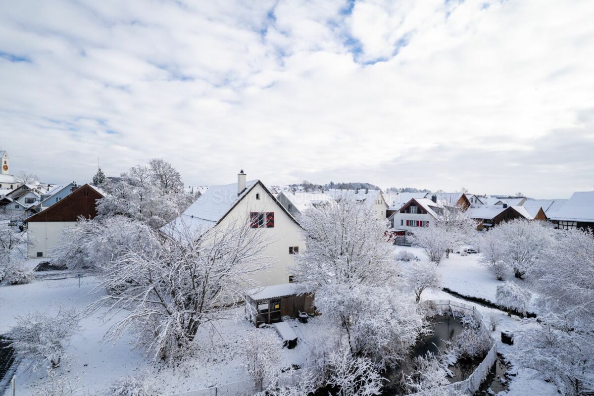 Verschneites Wohngebiet mit Häusern und Bäumen