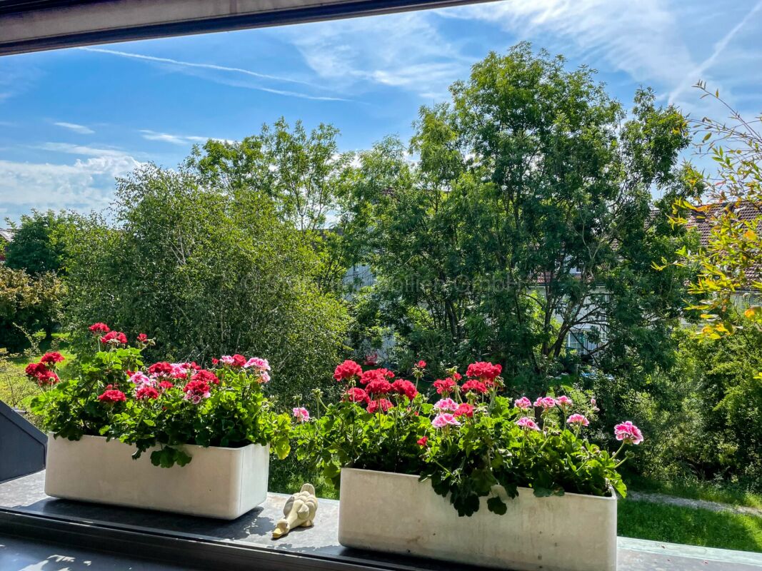 Blick vom Balkon in einen grünen Garten
