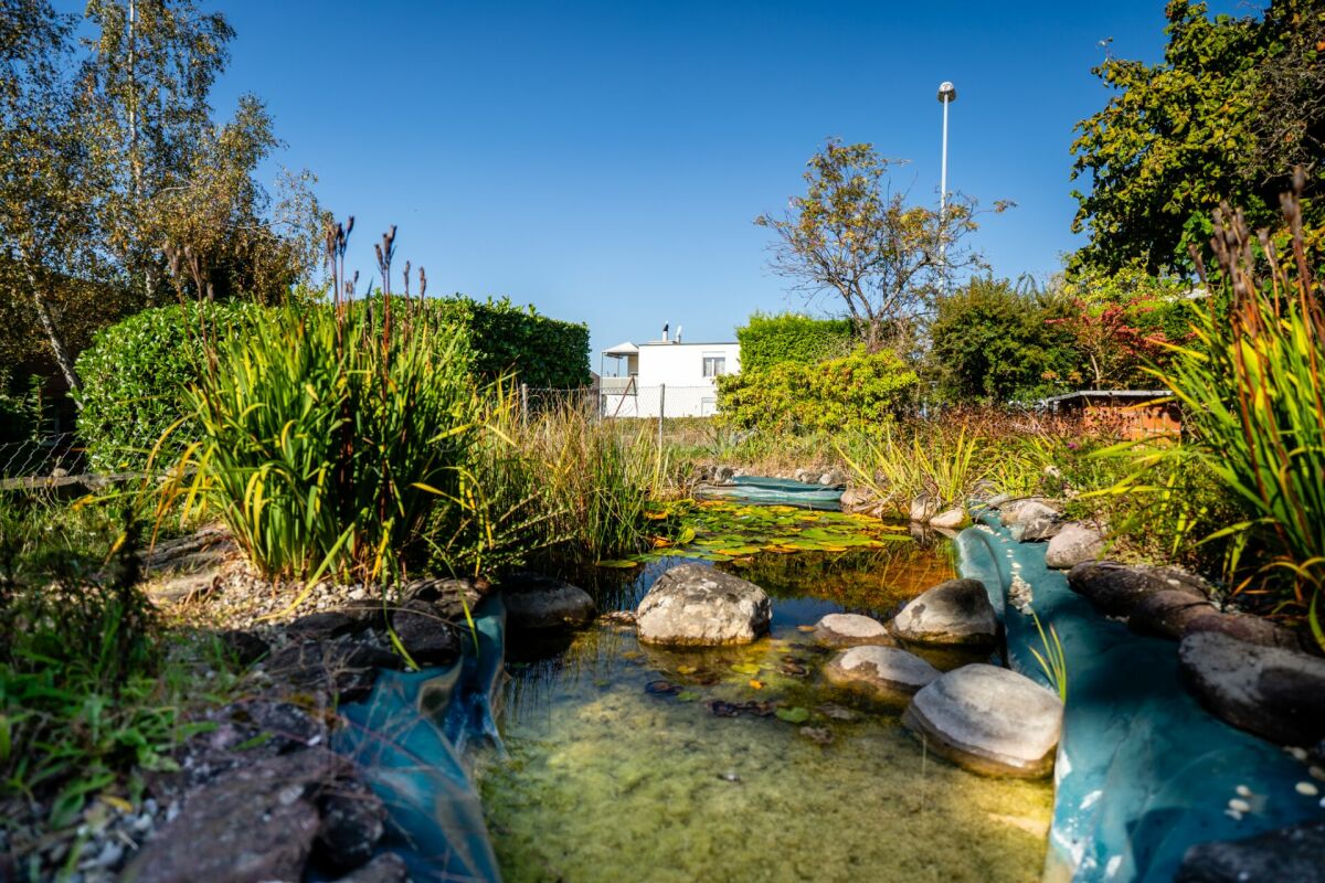 Garten mit Teich