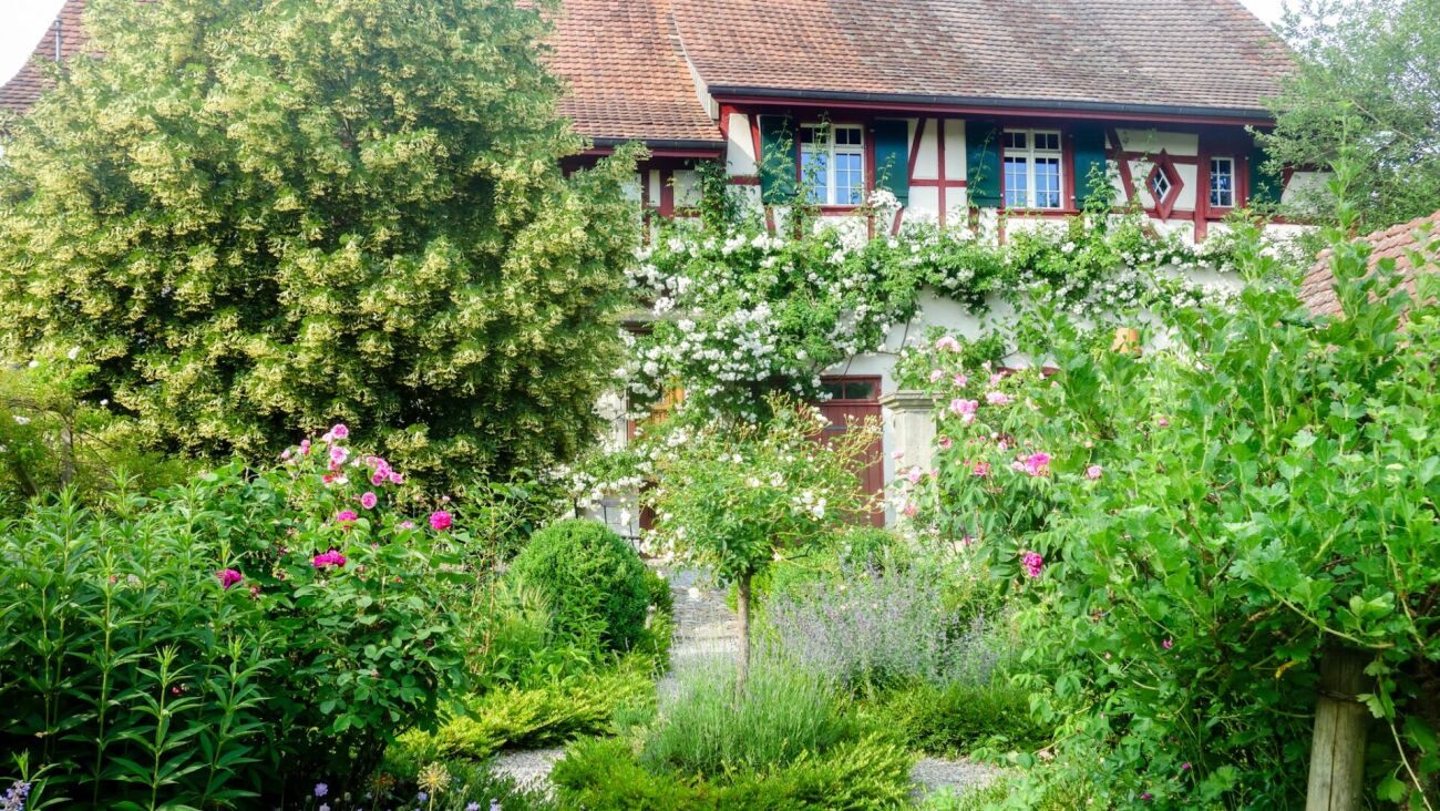 Fachwerkhaus mit üppigem Garten