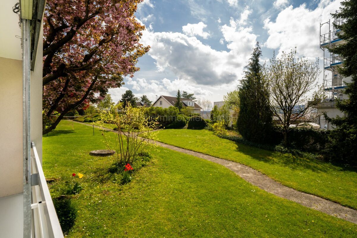 Gepflegter Gartenblick mit Baum und Rasen